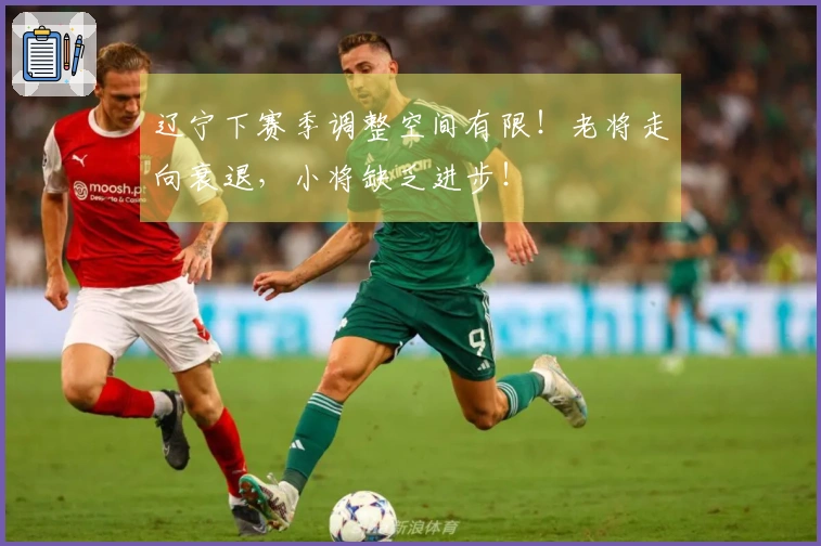 辽宁下赛季调整空间有限！老将走向衰退，小将缺乏进步！