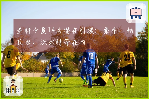多特今夏14名潜在引援：桑乔、帕瓦尔、沃尔特等在内