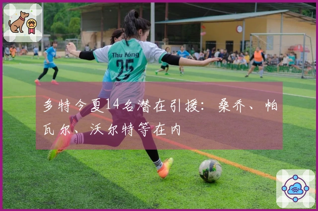 多特今夏14名潜在引援：桑乔、帕瓦尔、沃尔特等在内